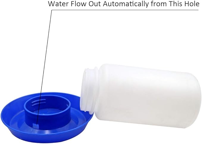 Poultry Water Jug Automatic Poultry Waterer Small Poultry Water Containers Drinkers for Chickens Birds Pigeon Quail 1L (Blue and White)