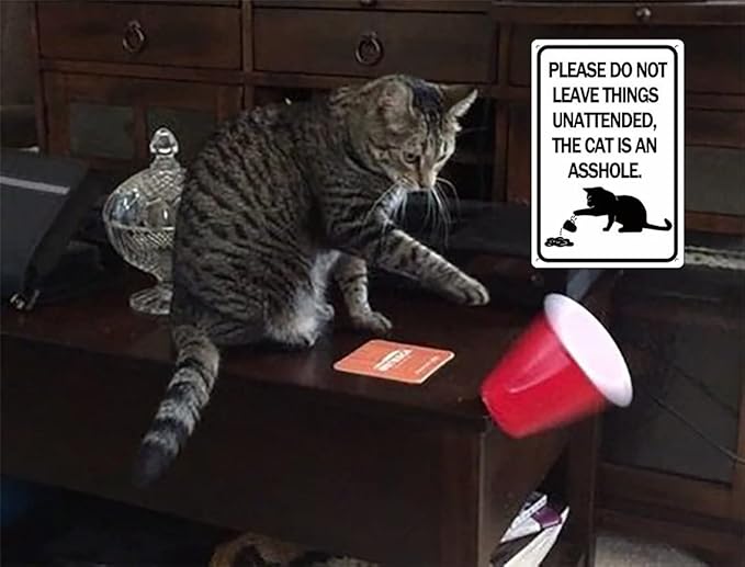 Please Do Not Leave Things Unattended, The Cat is an Asshole 12x8 Inch Metal Tin Sign For Home Decor, Hanging Funny Signs, Wall Art, Cat Lover Gifts for Women