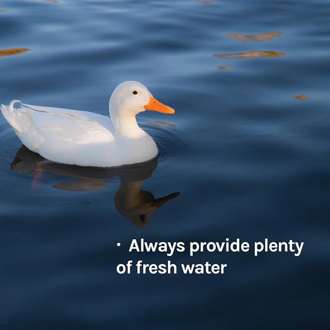 New Country Organics - Duck Layer Feed - Adult & Laying Duck Food - Soy-Free, 17% Protein - Certified Organic & Non-GMO - 40 lbs