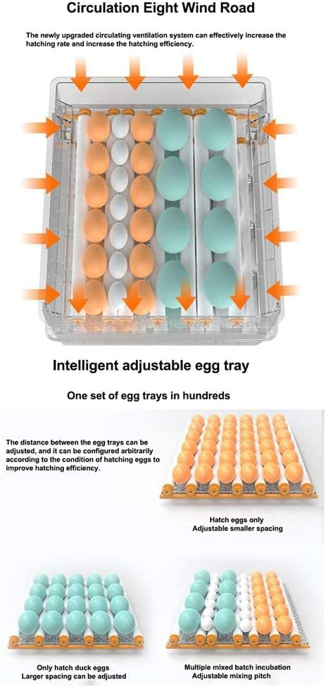 Digital Incubatores,Egg Incubator with Automatic Turning Function, Digital Automatic Hatcher with Temperature Control,for Egg Duck Egg Bird Egg Turkey Eggs Home, Blue-6 Egg