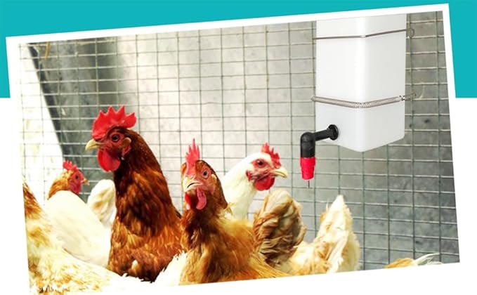 1L Automatic Drinker System Chick Water Cups 1L Hanging Automatic Fill Chick Cup Drinker Waterer Used for Cages (red, 2)