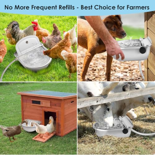 Automatic Chicken Waterer, Stainless Steel Poultry Water Dispenser - Metallic, 2.5 liters - Image 5
