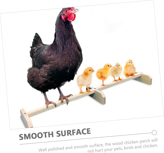 BESPORTBLE Wooden Chicken Roosting Bar Natural Bird Perch Stand for Pet Parrots and Hens Safe Breeds and Ages Coop Perch to Attract and Entertain Pets
