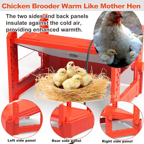 Chick Brooder Heating Plate with Adjustable Temperature - Red, Acrylonitrile Butadiene Styrene (ABS), Brooder Plate 130W Red - Image 3