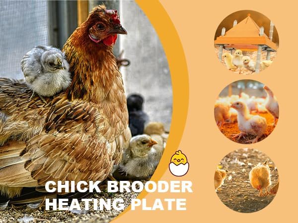 Brooder Plate for Chicks,10" x 10" Heat Plate for Chicks with Triangular Cone Anti-Perch Design（Orange）
