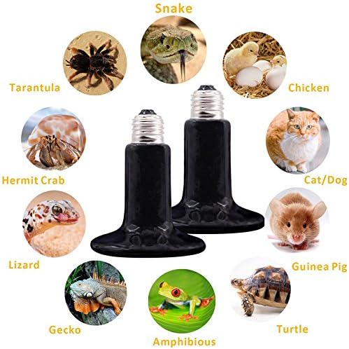 CTKcom 2-Pack 150W 110V Reptile Heat Lamp Ceramic Infrared Heat Emitter Bulb Pet Lamp,No Harm No Light Infrared Heat Emitter Brooder Lamp for Pet Coop Heater Reptile Chicken Turtle Heat Lighting,Black