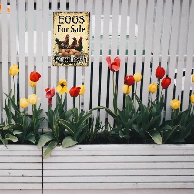 Fresh Eggs for Sale Aluminium Sign 8in×12in, Sturdy Aluminum Metal Signs Rust Free, Eggs for Sale Sign - Farm Fresh/We Sell Eggs Sign Outdoor Yard
