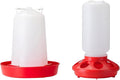 1kg Poultry Feeder and 1.5L Chick Waterer Starter Kits Poultry Feeding Equipment Quail Feeder Duck Feeder for Chicks Backyard