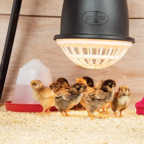Premier 1 “Prima” Heat Lamp®