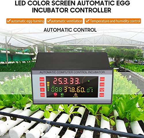 Egg Incubator Controller with Temperature and Humidity Sensor Probe, Digital Thermostat, Dual-Channel, LED Display, Automatic Egg-Turning, AC 160V-220V, 6.29x3.14x3.74 Inch