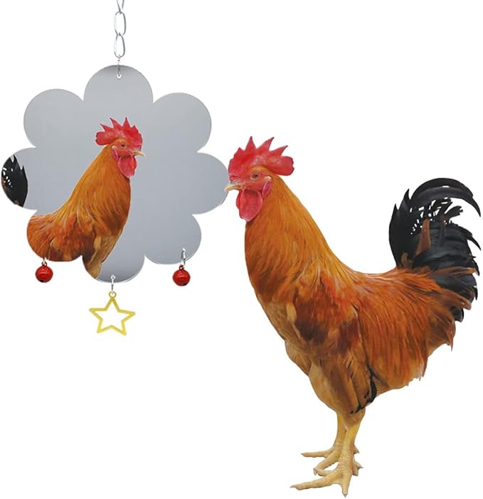 Chicken Toys for Hens with Mirrors Chicken Swing Mirror Toy with Bell Star for Chicks Roosters Large One Side Mirror