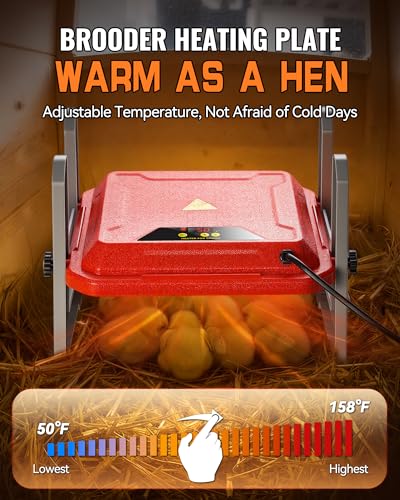 Chicken Brooder Plate, Smart Chick Heat Brooder Adjustable Temperature with LCD Display - 12.6"L x 3.2"W x 11.0"H, Red - Image 3
