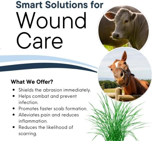Corazón Therapeutics Equine Wound Care Kit, 3-Part Treatment System with Salve, Spray and Oral Solution