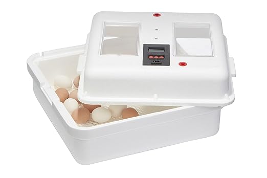Little Giant® Digital Still Air Incubator | 41 Egg Capacity | Chick Egg Hatching Incubator with Temperature and Humidity Control | Made in USA