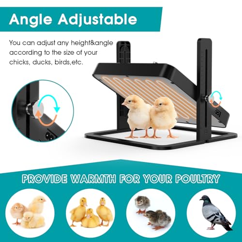 Upgraded Chick Heating Plate with Adjustable Height & Angle - 10.0"L x 5.0"W x 10.0"H, Black, Acrylonitrile Butadiene Styrene (ABS), Ideal for Chicks - Image 5