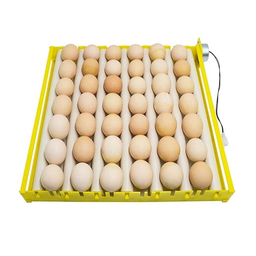 HBtree Automatic Multifunction Incubator Egg Tray Turning Hatcher for Chickens/Ducks/Birds/Poultry（7 Tubes）