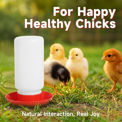 4PCS Chick Feeder and Waterer Kit,Baby Poultry Starter Set for Small Poultry Chicks Ducks - Plastic, 16 ounces - Image 2