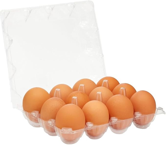 Stockroom Plus Clear Plastic Egg Cartons - Clear Containers with Date Labels - Bulk Egg Storage Set - Reusable Storage Containers - 12-Count, Pack of 48