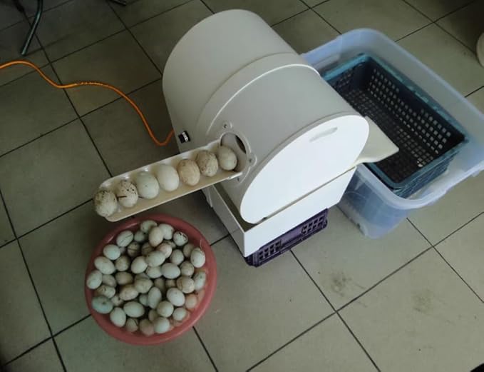 Automatic Electric Egg Washing Machine – 2300 Pcs/H Egg Washer with Roller Brush, Suitable for Chicken, Duck, and Goose Eggs (220V)