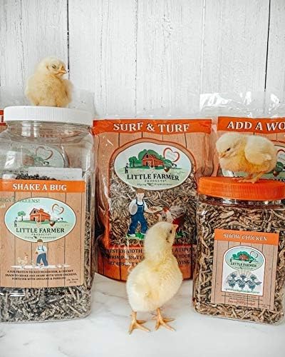 Surf & Turf | Dried River Shrimp & Mealworm Chicken Treat Premium Poultry Mix | 1 lb