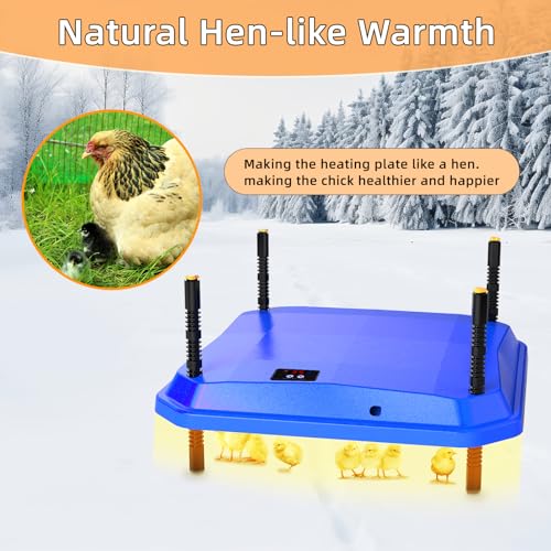 Chick Brooder Heating Plate, Brooder Heater for Chicks - Blue, Polyester - Image 4