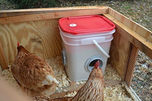 RentACoop 20lb BPA-Free Chicken Feeder with Large Ports - Includes Lid, Anti-Roost Cone, Ports, Rain Hoods - Suitable for Chickens - Corner Placement