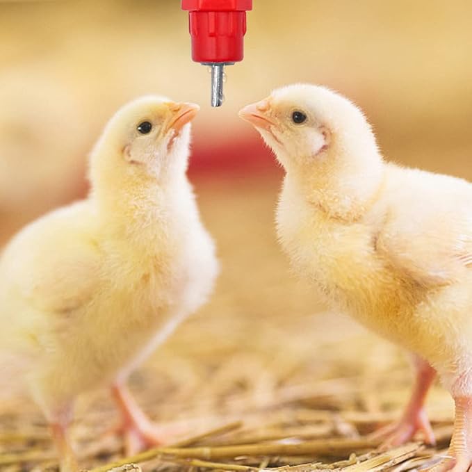 35PCS Automatic Chicken Water Nipple Drinker Feeders Screw Style Water Drinking for Poultry Hen Duck