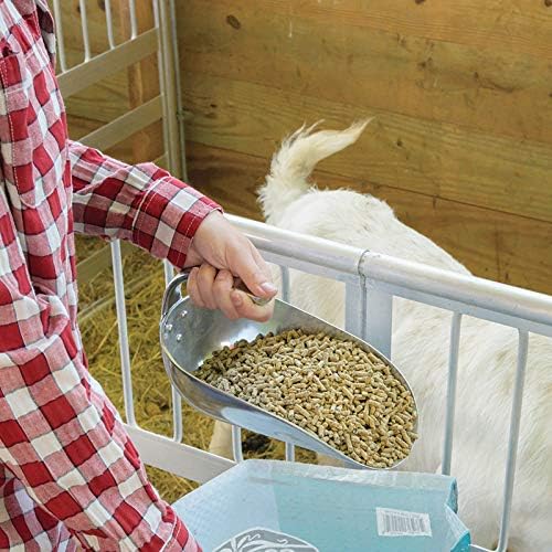 Premier 1 Aluminum Feed Scoop - Approx. 4 lb. Capacity