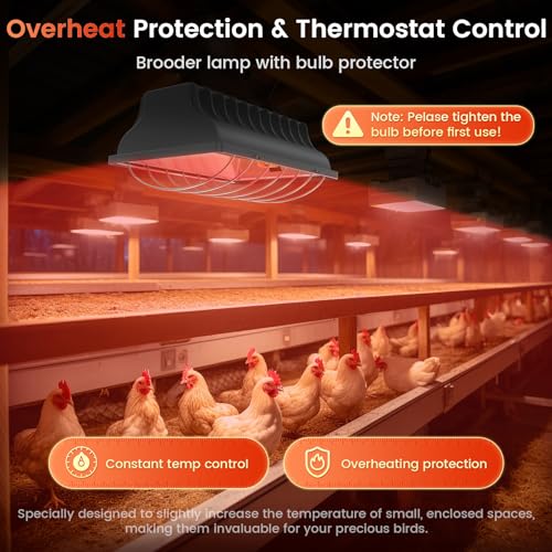 300W Bulb Repalcement -Heater for 30 Chicks Or Ducklings,Adjustable Temp for Livestock - 1 Pack, Red, Glass - Image 4