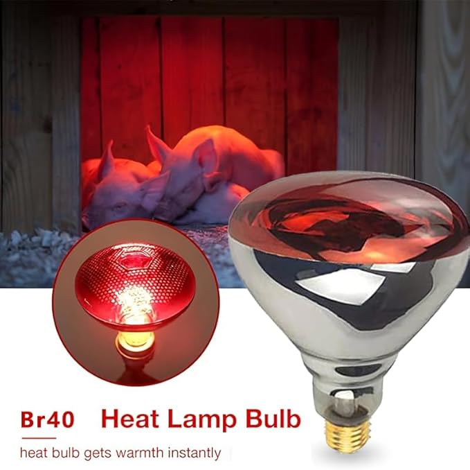 2 Pack 250W Heat Lamp Red Infrared Bulbs Glass Lamp Bulb for Food Service, Brooder Bulb, Chicks, Pet, Bathroom, Light Therapy Use E26 Base, Flood Light Heat Lamp.