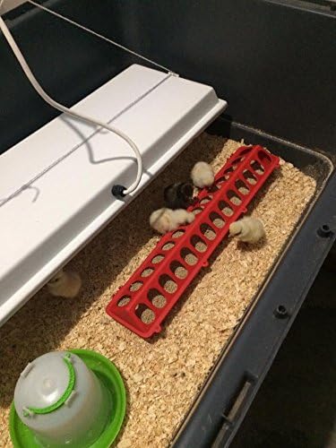Infrared Heater for Chicks & Pets, Side Mount 11x30, 100 Watt