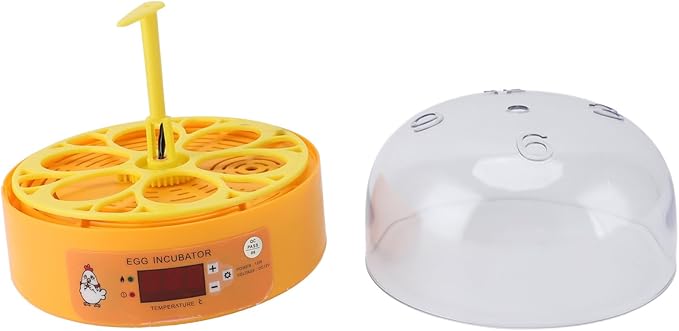 Pyhodi 6 Egg Incubator, Automatic Temperature and Humidity Control, Visual Observation, Suitable for Chicken Duck Eggs, Low Noise Automatic Egg Turning Incubator for Hatching (US Plug
