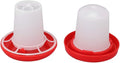 Chicken Feeder and Waterer Set, Chick Feeder Chicken Waterer Chicken Starter Kit Automatic Feeding and Watering Poultry Feeder and Waterer Combo for Baby Chicken Duck Brooder