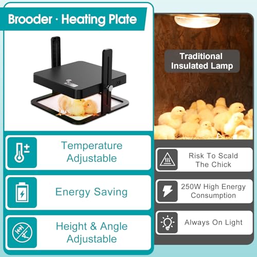 Upgraded Chick Heating Plate with Adjustable Height & Angle - 10.0"L x 5.0"W x 10.0"H, Black, Acrylonitrile Butadiene Styrene (ABS), Ideal for Chicks - Image 6