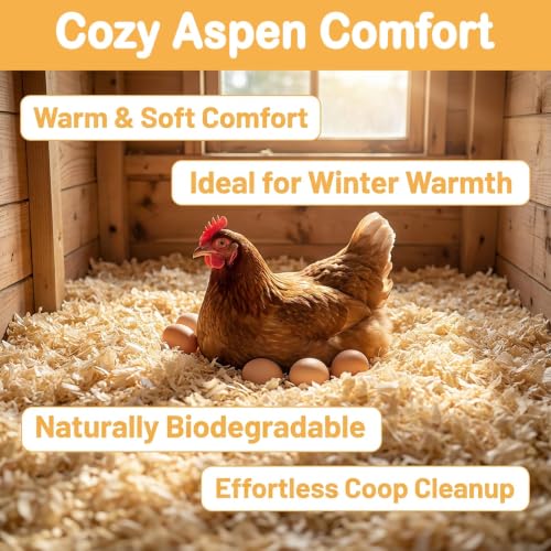 Sukh 31 OZ Chicken Coop Bedding, Aspen Shavings Small Animal Bedding - Beige - Image 7