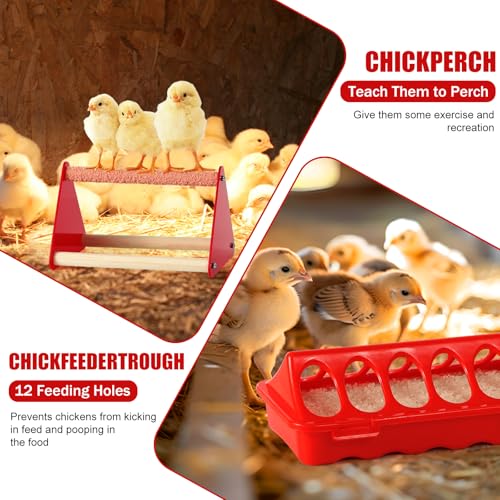 7PCS Chick Feeder and Waterer Kit with Wooden Perch,Baby Poultry Starter Set with Chick - Plastic, 16 ounces - Image 4