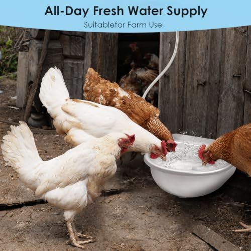 Automatic Chicken Waterer, Stainless Steel Poultry Water Dispenser - Metallic, 2.5 liters - Image 2