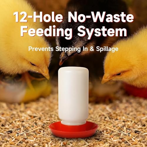 4PCS Chick Feeder and Waterer Kit,Baby Poultry Starter Set for Small Poultry Chicks Ducks - Plastic, 16 ounces - Image 3