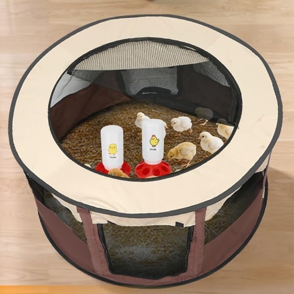Chicken Brooder Box for Chick Starter Kit - 2026 Upgrade XL (Extra Large) Double Door Chick Brooder Pen//Holds Up to 20 Baby Chicks, Ducklings, Quail(Coffee Color)