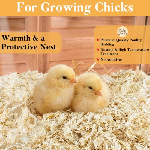 Sukh 31 OZ Chicken Coop Bedding, Aspen Shavings Small Animal Bedding - Beige - Image 6
