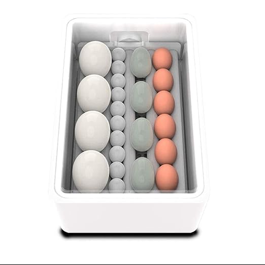 Egg Incubator with Automatic Turning, 36 Eggs Capacity, Digital Temperature Control, Dual Power, for Chicken, Duck, Goose, Birds