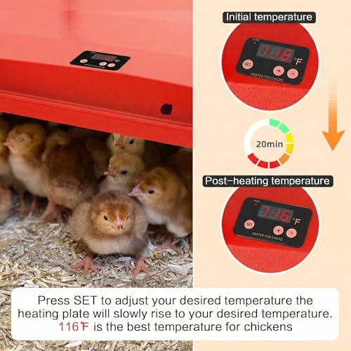 10"x10" Chick Brooder Heating Plate, Fire-Safe Adjustable Poultry Heater for Chicks - Polyester - Image 3