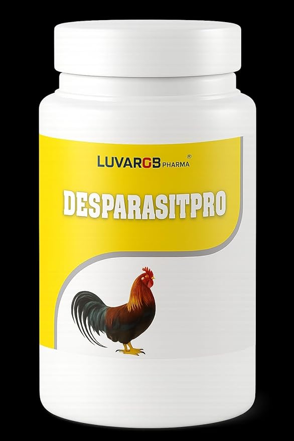 Poultry Digestive Support Supplement - Tablets - Roosters, Chicken & B irds - N utritional Support - 200 Tablets
