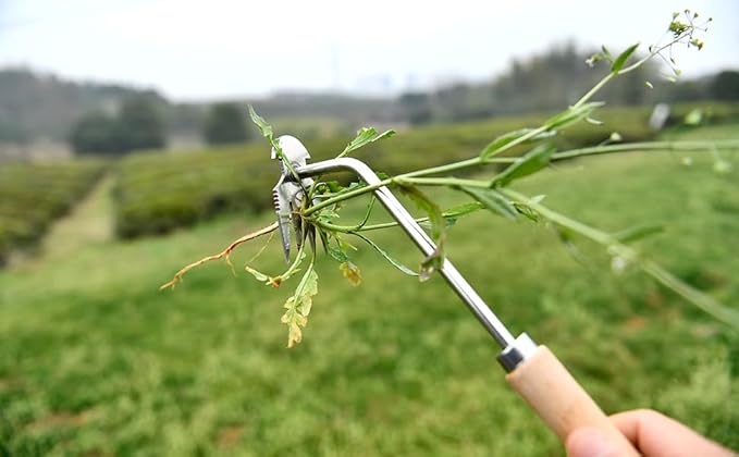 Weed Puller Tool,Weeding Artifact Uprooting Weeding Tool 4 Teethes Dual Purpose Manual Hand Weeders Tool for Gardening Vegetable Backyard Farm Planting(Wooden Handle)