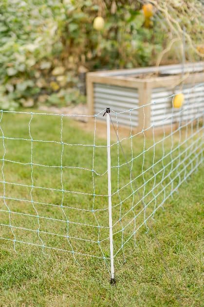 Starkline All-Purpose Electric Utility Netting (35" x 82') Electric Fence for Goats, Sheep, Gardens, Beehives, Dogs, and More for Backyards, Homesteads, Farms and Ranches