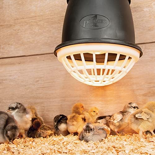 Premier 1 “Prima” Heat Lamp®
