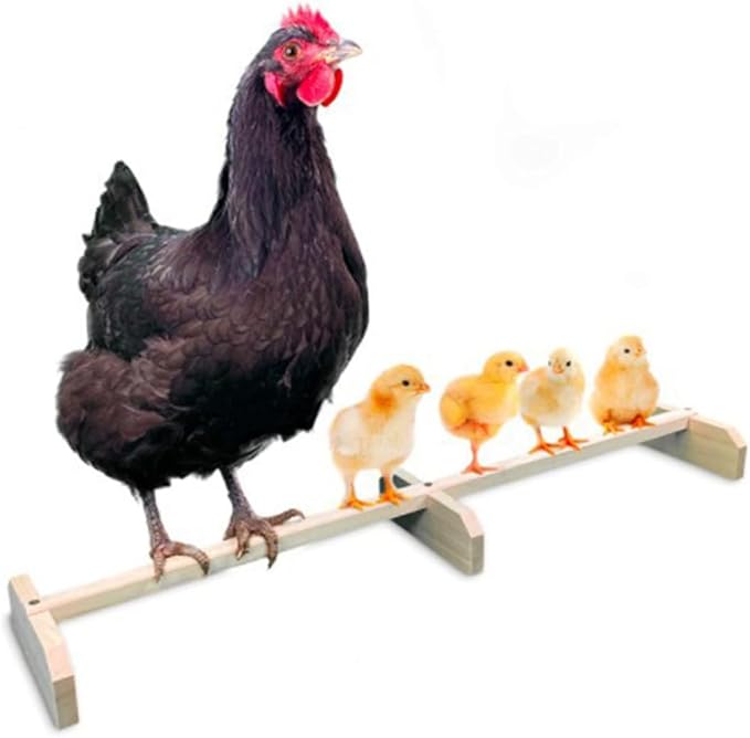 BESPORTBLE Wooden Chicken Roosting Bar Natural Bird Perch Stand for Pet Parrots and Hens Safe Breeds and Ages Coop Perch to Attract and Entertain Pets