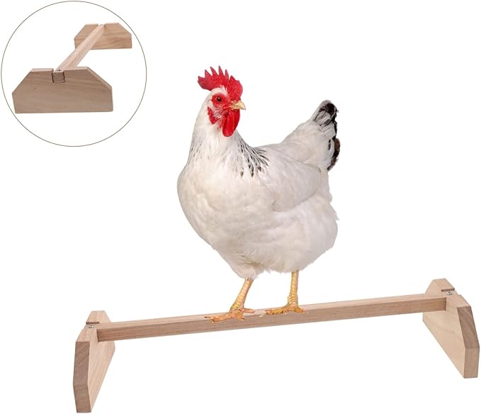 Healifty Wooden Parrot Stand Natural Chick Perch Roosting Bar for Chicken and Birds Household Bird Stand for Coop and Brooder Training Playground