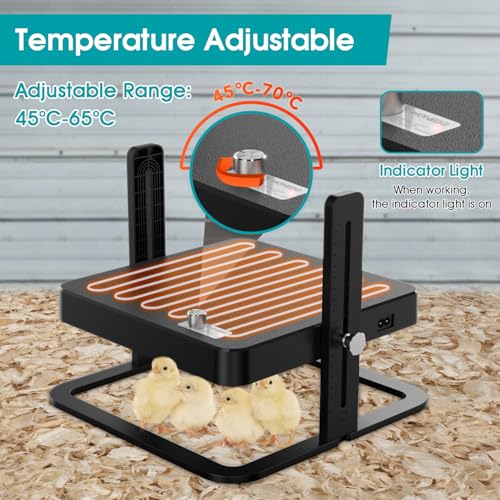 Upgraded Chick Heating Plate with Adjustable Height & Angle - 10.0"L x 5.0"W x 10.0"H, Black, Acrylonitrile Butadiene Styrene (ABS), Ideal for Chicks - Image 3
