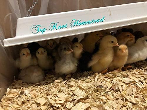 Infrared Heater for Chicks & Pets, Overhead 11x16, 50 Watt